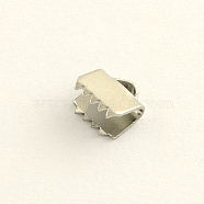 Stainless Steel Ribbon Crimp Ends, Stainless Steel Color, 8x13mm, Hole: 1.5mm(STAS-Q187-04)