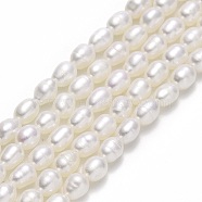 Natural Cultured Freshwater Pearl Beads Strands, Rice, Linen, 4.5~5x3.5~4mm, Hole: 0.6mm, about 70~72pcs/strand, 14.17''(36cm)(PEAR-J006-12A)