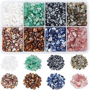 160G 8 Style Natural Gemstone Beads, Chip, 3~11x3~5x1~4mm, Hole: 1mm, 20g/style(G-NB0002-52)