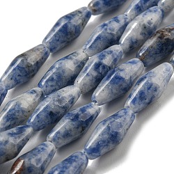 Natural Blue Spot Beads Strands, Bicone, 14~15x6mm, Hole: 1mm, about 25~26pcs/strand, 14.57~15.16''(37~38.5cm)(G-A223-A06-01)