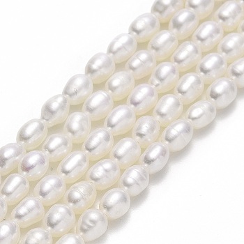 Natural Cultured Freshwater Pearl Beads Strands, Rice, Linen, 4.5~5x3.5~4mm, Hole: 0.6mm, about 70~72pcs/strand, 14.17''(36cm)