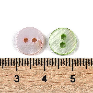 Freshwater Shell Buttons(SHEL-C005-01C)-3