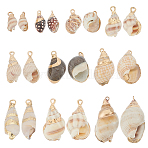 20Pcs 10 Styles Electroplated Spiral Shell Pendants, with Iron Findings, Golden, Mixed Color, 16~59x8~27x7~19mm, Hole: 1~2mm, 2pcs/style(SSHEL-HY0001-04)
