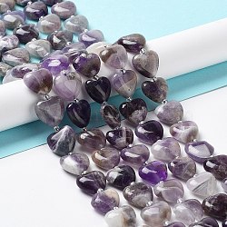 Natural Amethyst Beads Strands, with Seed Beads, Heart, 14~15x15x6~6.5mm, Hole: 1.4mm, about 23~24pcs/strand, 14.57''(37cm)(G-E614-A22-01)