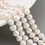 Natural Cultured Freshwater Pearl Beads Strands, Potato, Antique White, 6~6.5mm, Hole: 0.7mm, about 30pcs/strand, 6.89 inch(17.5cm)(PEAR-C003-23)