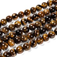 Natural Grade AB Tiger Eye Round Beads Strands, 10mm, Hole: 1mm, about 39pcs/strand, 15 inch(X-G-O047-02-10mm)