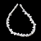 Natural Trochid Shell/Trochus Shell Beads Strands(SH-CBA2978-10)-3
