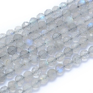 Natural Labradorite Beads Strands, Faceted, Round, 4mm, Hole: 0.6mm, about 97pcs/strand, 15.35 inch(39cm)(G-I279-E19)