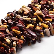 Natural Mookaite Chip Beads Strands, 8~30x5~12mm, Hole: 1mm, about 15.3 inch~15.7 inch(X-G-E271-48)