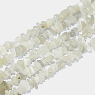 Natural White Moonstone Chip Beads Strands, 4~14x4~12mm, Hole: 1mm, about 15.3 inch~16.1 inch(X-G-E271-112)