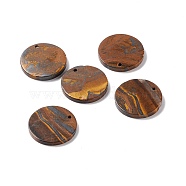 Natural Tiger Iron Pendants, Flat Round, 28.5~31x3.5~5.5mm, Hole: 1.4~2.5mm(G-B030-21A-04)
