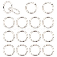 10Pcs Alloy Spring Gate Rings, O Rings Findings, Spring Gate O Rings, Platinum, 44x5mm, Inner Diameter: 34mm(FIND-DC0002-39)