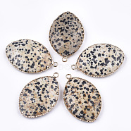 Natural Dalmatian Jasper Pendants, with Brass Findings, Faceted, Horse Eye, Golden, 39~40x25~26x6~7mm, Hole: 2mm(G-T112-16A)