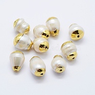 Natural Cultured Freshwater Pearl Beads, Edge Golden Plated, Oval, White, 14~17x11~12mm, Hole: 1.5mm(PEAR-F006-73G)