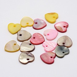 Dyed Natural Heart Shell Pendants, Mixed Color, 12x12x2mm, Hole: 1mm(X-SHEL-P003-05)