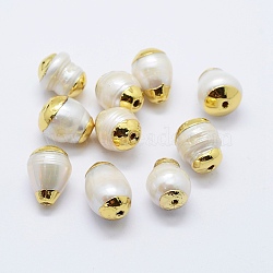 Natural Cultured Freshwater Pearl Beads, Edge Golden Plated, Oval, White, 14~17x11~12mm, Hole: 1.5mm(PEAR-F006-73G)