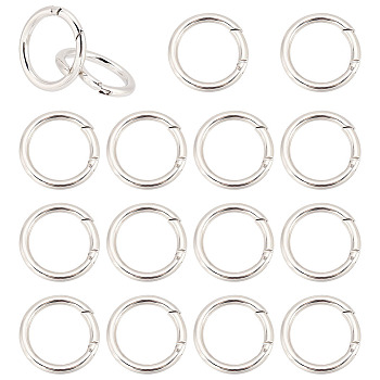 10Pcs Alloy Spring Gate Rings, O Rings Findings, Spring Gate O Rings, Platinum, 44x5mm, Inner Diameter: 34mm