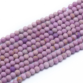 Natural Lepidolite/Purple Mica Beads Strands, Faceted, Round, 3mm, Hole: 0.6mm, about 139pcs/strand, 14.96 inch(38cm)