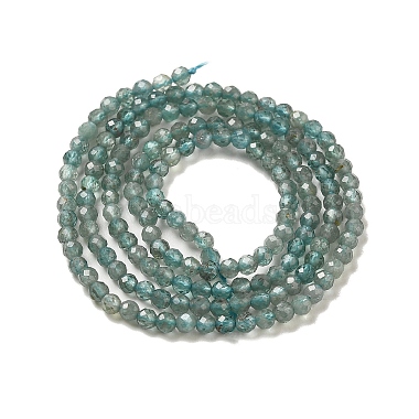 Natural Apatite Beads Strands(G-B074-B09-01)-3