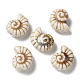 Handmade Porcelain Beads(PORC-L080-F04)-1