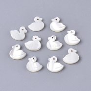 10Pcs Natural Trochid Shell/Trochus Shell Beads, Duck, Seashell Color, 9.5x9x2mm, Hole: 0.8mm(SHEL-CJ0001-31)