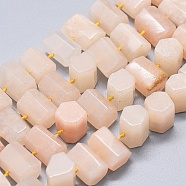 Natural Pink Aventurine Beads Strands, Hexagonal Prism, 11~14x7~11mm, Hole: 0.5mm, about 41pcs/strand, 16.5 inch~16.9 inch(42~43)(G-K293-J18-C)