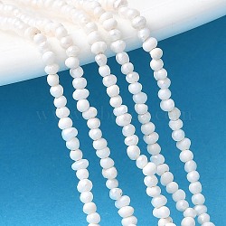 Natural Cultured Freshwater Pearl Beads Strands, Potato, Grade 2A, Seashell Color, 1.5~2mm, Hole: 0.4mm, about 224~225pcs/strand, 13.98~14.09''(35.5~35.8cm)(PEAR-I007-07A-01A)