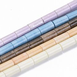 Natural Agate Beads Strands, Dyed, Column, Mixed Color, 8.5x4mm, Hole: 1mm, about 47pcs/strand, 15.7 inch(G-S286-01)