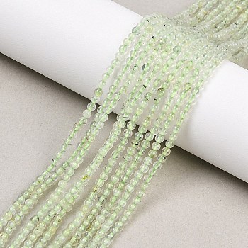 Natural Prehnite Beads Strands, Round, 2mm, Hole: 0.5mm, about 144pcs/strand, 15.20 inch(38.6cm)