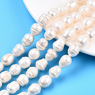 Natural Cultured Freshwater Pearl Beads Strands, Rice, Seashell Color, 10.5~18.5x9~11mm, Hole: 0.6mm, about 22~31 pcs/strand, 13.70~14.13 inch(34.8~35.9cm)(PEAR-N012-10C)