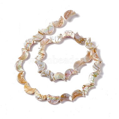 Drawbench Style Natural Freshwater Shell Beads Strands(X-SHEL-F003-05)-3