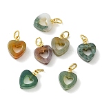 Natural Indian Agate Pendants, Heart Frame Charms with 304 Stainless Steel Findings, Golden, 13.5x10x4.5mm, Hole: 3.5mm(PALLOY-JF05634)