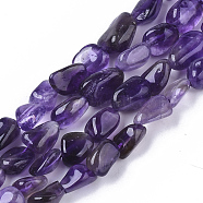 Natural Amethyst Beads Strands, Nuggets, 5~11x5~8x3~6mm, Hole: 0.8mm, about: 52~56pcs/Strand, 15.94 inch(40.5cm)(G-S363-006B)