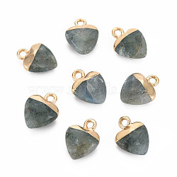Natural Labradorite Charms, with Light Gold Plated Iron Findings, Heart, 13.5x10.5x5~5.5mm, Hole: 1.6~1.8mm(G-N326-121-05)