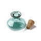 Miniature Glass Bottles(GLAA-H019-07H)-3