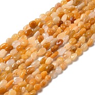 Natural Yellow Aventurine Beads Strands, Nuggets, 8~14x6~8x4~8mm, Hole: 1mm, about 46~48pcs/strand, 39~39.5cm(G-I351-B02)