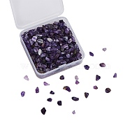Natural Amethyst Chip Beads, 5~8x5~8mm, Hole: 1mm(G-CJ0001-23)