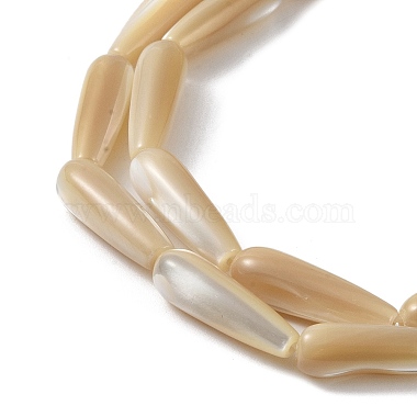 Natural Trochus Shell Beads(PEAR-B002-01B-B)-3