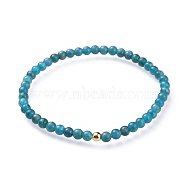 Natural Apatite Stretch Bracelets, with Brass Beads, Round, Golden, 2-1/8 inch(5.3cm)(BJEW-JB04556-02)