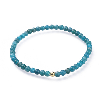 Natural Apatite Stretch Bracelets, with Brass Beads, Round, Golden, 2-1/8 inch(5.3cm)