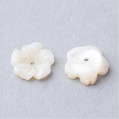 Natural Sea Shell Beads(SSHEL-S250-14)-2