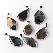 Natural Labradorite Teardrop Pendants, with Platinum Plated Brass Findings, 34~60x13~35x5~15mm, Hole: 4x7mm(G-L350-03)