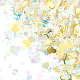 100G Plastic Sequins Beads(PVC-CP0001-01A)-1