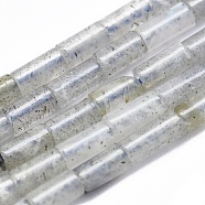 Natural Labradorite Beads Strands, Column, 3.5~4x2mm, Hole: 0.7mm, about 100pcs/strand, 15.35 inch(39cm)(G-A177-02-10)