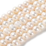 Natural Cultured Freshwater Pearl Beads Strands, Potato, Grade 2A, PapayaWhip, 5~6.5x5~5.5mm, Hole: 0.5mm, about 69pcs/strand, 13.78 inch(35cm)(PEAR-E018-40)