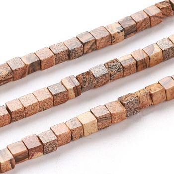 Natural Picture Jasper Beads Strands, Cube, 4x4x4mm, Hole: 0.7mm, about 93pcs/Strand, 15.75 inch(40cm)