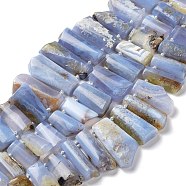 Natural Blue Lace Agate Beads Strands, Rectangle, 21~46x11.5~22.5x7~8.5mm, Hole: 1.5mm, about 26~27pcs/strand, 15.98''~16.30''(40.6~41.4cm)(G-M406-C01)