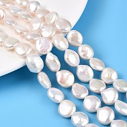 Natural Keshi Pearl Beads Strands, Cultured Freshwater Pearl, Baroque Pearls, Flat Round, Creamy White, 11.5~14.5x11~12.5x4.5~8mm, Hole: 0.6mm, about 28~31pcs/strand, 14.96~15.35(38~39cm)(PEAR-S018-02I)