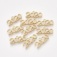 Smooth Surface Alloy Charms, New Year 2020, Matte Gold Color, 9x23x3mm, Hole: 1.8mm(PALLOY-T067-60MG)