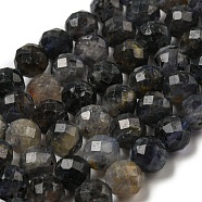 Natural Iolite Beads Strands, Faceted, Round, 6mm, Hole: 0.8mm, about 63pcs/strand, 15.12''(38.4cm)(G-A097-A14-09)